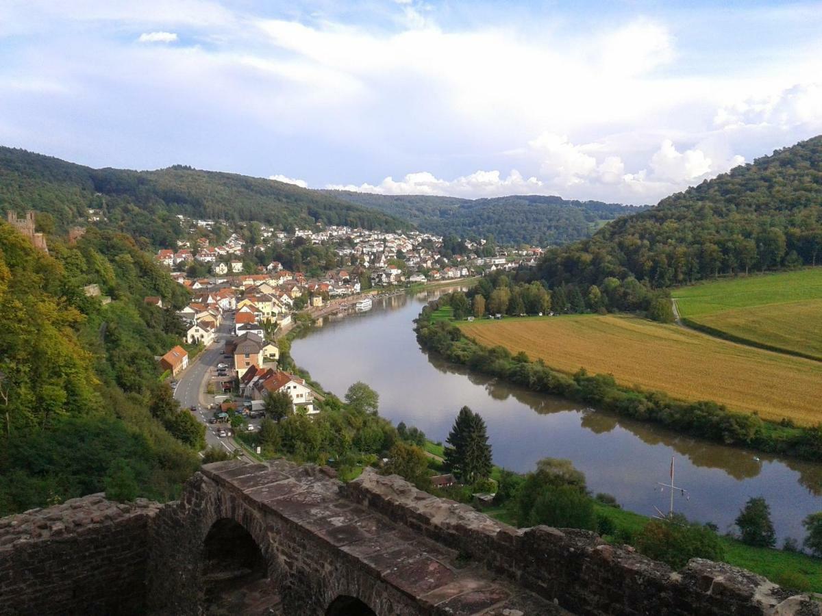 Fewo Am Neckarsteig Neckarsteinach Exteriér fotografie