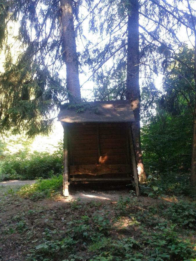 Fewo Am Neckarsteig Neckarsteinach Exteriér fotografie